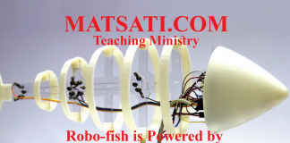 Robo-fish is Powered by Blood-like Battery Fluid – A Spiritual Insight