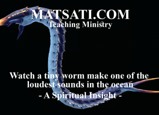Watch a tiny worm make one of the loudest sounds in the ocean – A Spiritual Insight