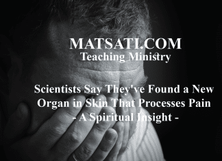 Scientists Say They’ve Found a New Organ in Skin That Processes Pain – A Spiritual Insight