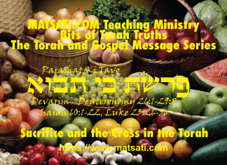 Being Dull in Heart, Mind, and Spirit, פרשת כי תבוא, Parashat Ki Tavo, Bits of Torah Truths