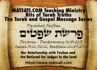 Our Relationship with Yeshua and the Rational for Judges in the Land, פרשת שפטים, Parashat Shoftim, Bits of Torah Truths