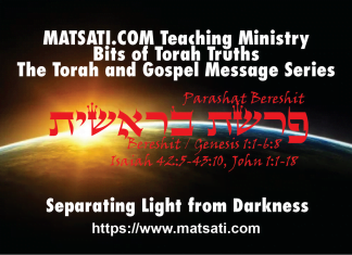 Separating light from darkness in our lives! Parashat Bereshit, פרשת בראשית, Bits of Torah Truths