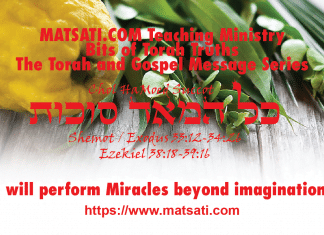 I will perform Miracles beyond imagination! חול המועד סֻכּוֹת, Chol HaMo’ed Sukkot, Bits of Torah Truths