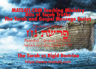 The Torah vs Rigid Dogma, פרשת נח, Parashat Noach, Bits of Torah Truths