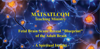 Fetal Brain Scans Reveal “Blueprint” of the Adult Brain – A Spiritual Insight