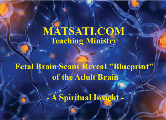 Fetal Brain Scans Reveal “Blueprint” of the Adult Brain – A Spiritual Insight