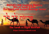 What is the Greatest Object Lesson from the Life of Abraham? פרשת לך לך, Parashat Lech Lecha, Bits of Torah Truths