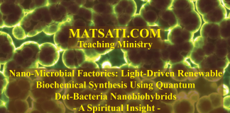 Nano-Microbial Factories: Light-Driven Renewable Biochemical Synthesis Using Quantum Dot-Bacteria Nanobiohybrids – A Spiritual Insight