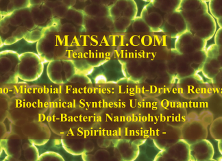 Nano-Microbial Factories: Light-Driven Renewable Biochemical Synthesis Using Quantum Dot-Bacteria Nanobiohybrids – A Spiritual Insight