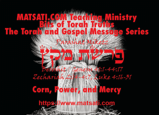 Corn, Power, and Mercy, פרשת מקץ, Parashat Miketz, Bits of Torah Truths
