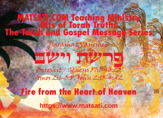 Fire from the Heart of Heaven, פרשת וישב, Parashat Vayeshev, Bits of Torah Truths