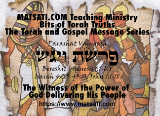 The Witness of the Power of God Delivering His People, ויגש פרשת, Parashat Vayigash, Bits of Torah Truths