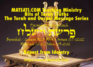 Depart from Idolatry! פרשת וישלח, Parashat Vayishlach, Bits of Torah Truths