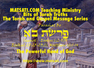 The Powerful Hand of God, פרשת בא, Parashat Bo, Bits of Torah Truths