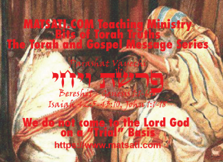 We do not come to the Lord God on a “Trial” Basis, פרשת ויחי, Parashat Vayechi, Bits of Torah Truths