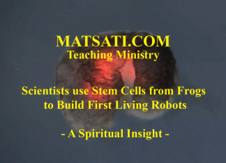 Scientists use Stem Cells from Frogs to Build First Living Robots – A Spiritual Insight