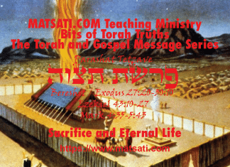 Sacrifice and Eternal Life, פרשת תצוה, Parashat Tetzaveh, Bits of Torah Truths