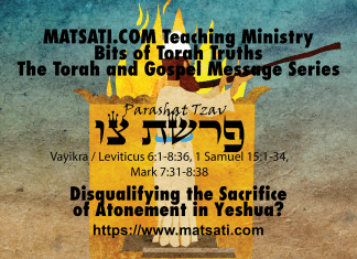Disqualifying the Sacrifice of Atonement in Yeshua?, צו פרשת, Parashat Tzav, Bits of Torah Truths
