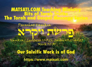 Our Salvific Work is of God, פרשת ויקרא, Parashat Vayikra, Bits of Torah Truths