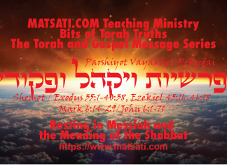Resting in Messiah and the Meaning of the Shabbat, ופקודי פרשיות ויקהל, Parshiyot Vayak’hel and Pekudei, Bits of Torah Truths