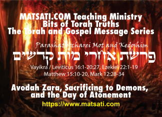 Avodah Zara, Sacrificing to Demons, and the Day of Atonement, וקדשים אחרי מות פרשת,Parashat Acharei Mot–Kedoshim, Bits of Torah Truths