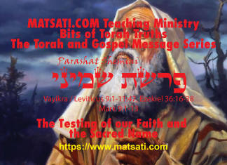 The Testing of our Faith and the Sacred Name, פרשת שמיני, Parashat Shemini, Bits of Torah Truths