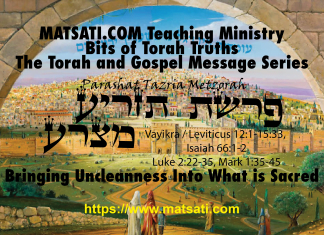 Bringing Uncleanness Into What is Sacred, פרשת תזריע ומצרע, Parshiyot Tazria and Metzora, Bits of Torah Truths