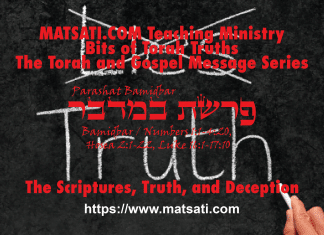 The Scriptures, Truth, and Deception, פרשת במדבר, Parashat Bamidbar , Bits of Torah Truths