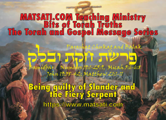 Being guilty of Slander and the Fiery Serpent, בלק חקת פרשת, Parshiot Chukat and Balak, Bits of Torah Truths