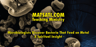 Microbiologists Discover Bacteria That Feed on Metal – A Spiritual Insight