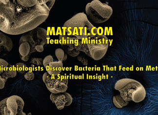 Microbiologists Discover Bacteria That Feed on Metal – A Spiritual Insight