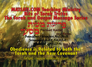 Obedience is Related to both the Torah and the New Covenant, מטות ומסעי פרשיות, Parshiyot Mattot and Massei, Bits of Torah Truths