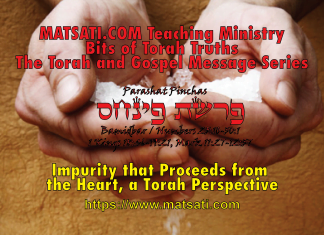 Impurity that Proceeds from the Heart, a Torah Perspective, פרשת פינחס, Parashat Pinchas, Bits of Torah Truths
