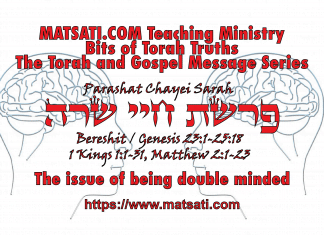 The issue of being double minded, פרשת חיי שרה, Parashat Chayei Sarah, Bits of Torah Truths – Digging Deeper