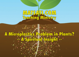 A Microplastics Problem in Plants? – A Spiritual Insight