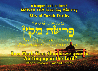 How Much Time Should we give to Waiting upon the Lord? פרשת מקץ, Parashat Miketz, Bits of Torah Truths – Digging Deeper