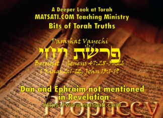 Dan and Ephraim not mentioned in Revelation, פרשת ויחי, Parashat Vayechi, Bits of Torah Truths – Digging Deeper
