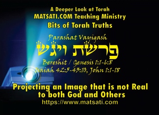 Projecting an Image that is not Real to both God and Others, Parashat Vayigash, פרשת ויגש, Bits of Torah Truths – Digging Deeper