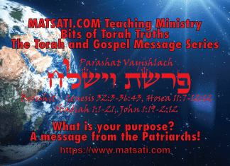 What is your purpose? A message from the Patriarchs! פרשת וישלח, Parashat Vayishlach, Bits of Torah Truths – Digging Deeper