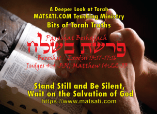 Stand Still and Be Silent, Wait on the Salvation of God, פרשת בשלח, Parashat Beshalach, Bits of Torah Truths – Digging Deeper