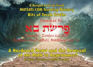 The Lord God Almighty as both a Redeemer and a Destroyer, פרשת בא, Parashat Bo, Bits of Torah Truths – Digging Deeper