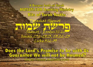 Does the Lord’s Promise to be with Us Guarantee We will not be Harmed? פרשת שמות, Parashat Shemot , Bits of Torah Truths – Digging Deeper