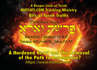 A Hardened Heart and the Removal of the Path to Repentance? פרשת וארא, Parashat Va’era, Bits of Torah Truths – Digging Deeper