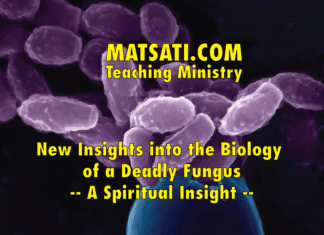New Insights into the Biology of a Deadly Fungus – A Spiritual Insight