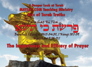 The Importance and Efficacy of Prayer, פרשת כי תשא, Parashat Ki Tisa, Bits of Torah Truths – Digging Deeper