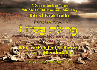 Why Yeshua Called Himself בֶּן–הָאָדָם (Ben-haAdam), פרשת פסח ז, Parashat Pesach VII, Bits of Torah Truths – Digging Deeper