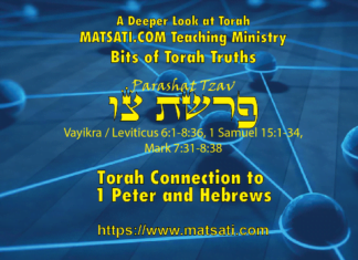 Torah Connection to 1 Peter and Hebrews, פרשת צו, Parashat Tzav, Bits of Torah Truths – Digging Deeper