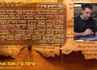 Watch Dr Duane D Miller – LIVE – Torah Connection to 1 Peter and Hebrews, פרשת צו, Parashat Tzav, Bits of Torah Truths – Digging Deeper