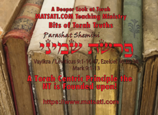 A Torah Centric Principle the NT is Founded upon! פרשת שמיני, Parashat Shemini, Bits of Torah Truths – Digging Deeper