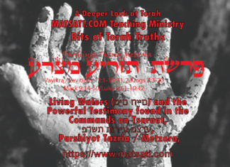 Living Waters (מַיִם חַיִּים) and the Powerful Testimony found in the Commands on Tsaraat, פרשת תזריע מצרע, Parshiyot Tazria / Metzora, Bits of Torah Truths – Digging Deeper